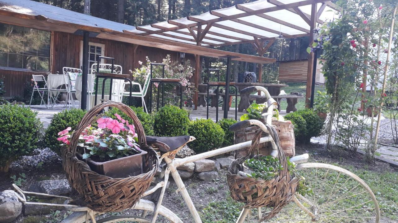 Villa Sveti Dimitar Borovets Esterno foto