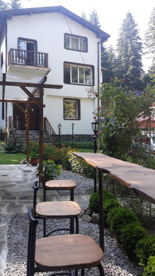 Villa Sveti Dimitar Borovets Esterno foto