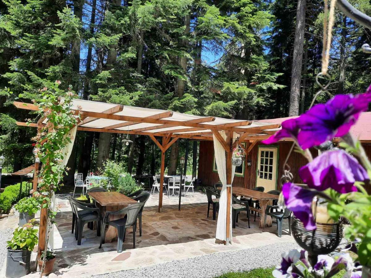Villa Sveti Dimitar Borovets Esterno foto